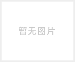粉尘专用吸尘器GS系列